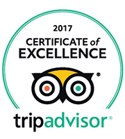 TripAdvisor 2017